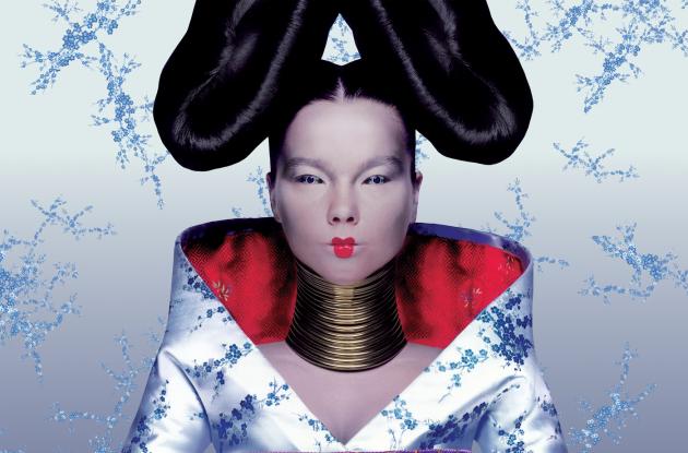 Billede af Björks Homogenic-album